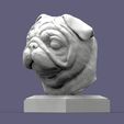 pug2.jpg Pug for 3D printing