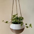 IMG_5771.JPG Hanging Planter