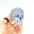 Unbenannt-325.jpg Sugar Skull Ornament Skull for Halloween Decoration