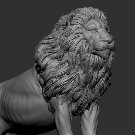 お買い得商店街 🦁 Lion・文件用于STL ・Cults 模型製作用品