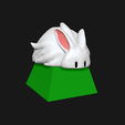 LNT01.png Lunatik Keycap