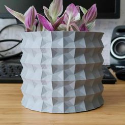 IMG_20220923_163624.jpg STL file Chinese Origami Pot and Planter for house plants・Model to download and 3D print