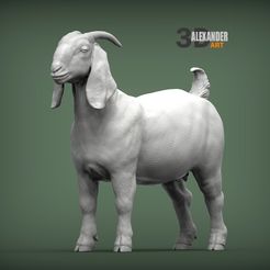 Boer-Goats-female-1.jpg Modelo impreso en 3D de una hembra de cabra bóer