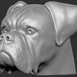1.jpg Boxer dog for 3D printing