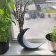 811BABD5-DBE5-4888-89B8-0E84E8DD2C10.jpg Minimalist Moon Vase