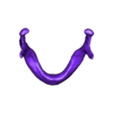 mandible-cleaned.stl Cleaned Hollow Skull