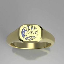 Blue_Power_Ranger.JPG Fichier 3D gratuit Blue Power Ranger Signet Ring・Objet imprimable en 3D à télécharger