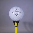 DSCN0779_display_large.JPG Fichier STL gratuit Royal-TEE..... T-shirt de golf・Modèle pour impression 3D à télécharger