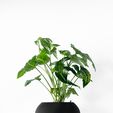 misprint-9965.jpg The Melfi Planter Pot with Drainage | Tray & Stand Included | Modern and Unique Home Decor for Plants and Succulents  | STL File