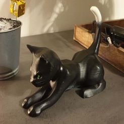 ChatEtiré.jpg Chat étiré / Gato estirado