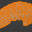 42.PNG.6234647b2a0dd1e05141dfae05434777.png 3D Model of Human Brain
