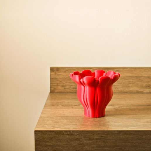 1756564049016.jpg Coral cruel