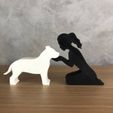 WhatsApp-Image-2023-01-06-at-10.14.33.jpeg Girl and her Pit bull (tied hair) for 3D printer or laser cut