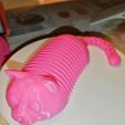 Flexi Cat