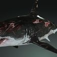 07y.jpg SHARK, DOWNLOAD Shark 3D modeL - Animated for Blender-fbx-unity-maya-unreal-c4d-3ds max - 3D printing SHARK SHARK FISH - TERROR  - PREDATOR - PREY - POKÉMON - DINOSAUR - RAPTOR