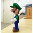 2de40e0d504f583cda7465979f958a98_preview_featured-1.jpg Luigi from Mario games - Multi-color