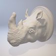 View 3D20170815-004248.jpg Rhinoceros Hook