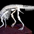 20210108_095356.jpg Dinosaur Lambeosaurus complete skeleton