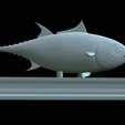 Tuna-model-24.png fish tuna bluefin / Thunnus thynnus statue detailed texture for 3d printing