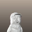 1000015679.png Sunny Beako - Flownimal STL file