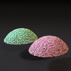 10000.jpg Fichier 3D Capuchon de cerveau d'extraterrestre・Modèle pour impression 3D à télécharger