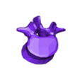 VertebralColumn8.stl Skeleton vertebral column torso bones (90 bones)