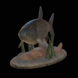 Grass-carp-1-10.png fish grass carp / Ctenopharyngodon idella / amur bílý statue detailed texture for 3d printing