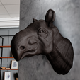 5.png Paraceratherium prehistoric Rhino mammal head wall mount statue STL