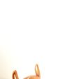 51a667d5-1e29-4cc3-b401-1f51d328bcd7.jpg NIice Flexi Monster