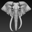 18.jpg Elephant African Head
