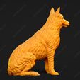 1621-Belgian_Shepherd_Dog_Laekenois_Pose_05.jpg Belgian Shepherd Dog Laekenois Dog 3D Print Model Pose 05