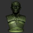 ZBrush Do333cument.jpg Night King Bust v2- Game of Thrones 3D print model
