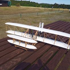 IMG_20220715_163604_4.jpg 3D file The Wright Military Flyer 1907・Model to download and 3D print