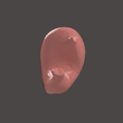 6.png STOMACH SEGMENTED MODEL