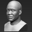 3.jpg Dr Dre bust ready for full color 3D printing