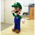 3fb5ed13afe8714a7e5d13ee506003dd_preview_featured-1.jpg Luigi from Mario games - Multi-color