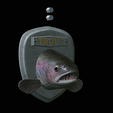 Rainbow-trout-solo-model-open-mouth-1-5.png fish head trophy rainbow trout / Oncorhynchus mykiss open mouth statue detailed texture for 3d printing