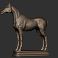 18.png Arabian Horse