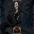 bc-3.jpg Black Cat - Marvel - Collectible Edition