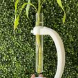 IMG_9487.jpg Modern floating tube vascular plants planter
