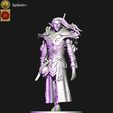 jztj-kopie.jpg Dark elves Disciple