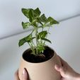 self-watering-3D-printed-planter-4.jpg KAPKA self watering planter