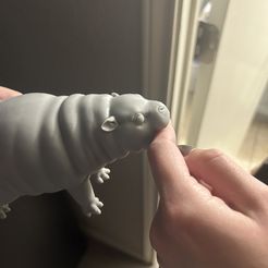 Bébé hippopotame en colère - bébé hippopotame prêt à mordre et à piquer des crises de colère pour tous les amoureux des hippopotames !