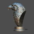 31.jpg Eagle
