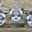 02-MACETA-SCHNAUZER.jpg SCHNAUZER POT