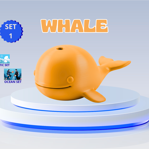 Cute Mini Whale - Commercial
