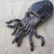 DSCN0526.JPG Articulated CuttleFish BJD Print-in-Place