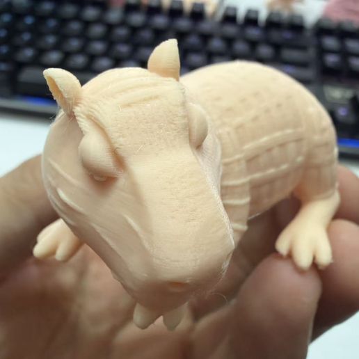 e621e0122b2c8c1258754f6a75642b18.jpg Carpincho