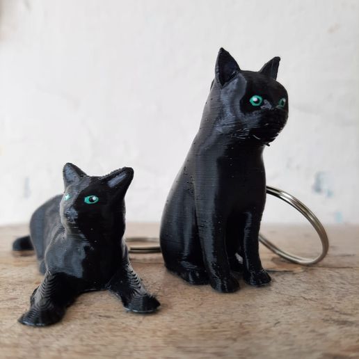 WhatsApp-Image-2023-01-26-at-19.47.39-1.jpeg (x2) Cat keychains