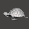 5.png Master Roshi and his Turtle 3D Model